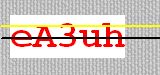 CAPTCHA code
