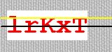 CAPTCHA code